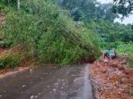 Hujan Deras di Manggarai Barat, Jalur Terang-Pacar Tertimbun Longsor