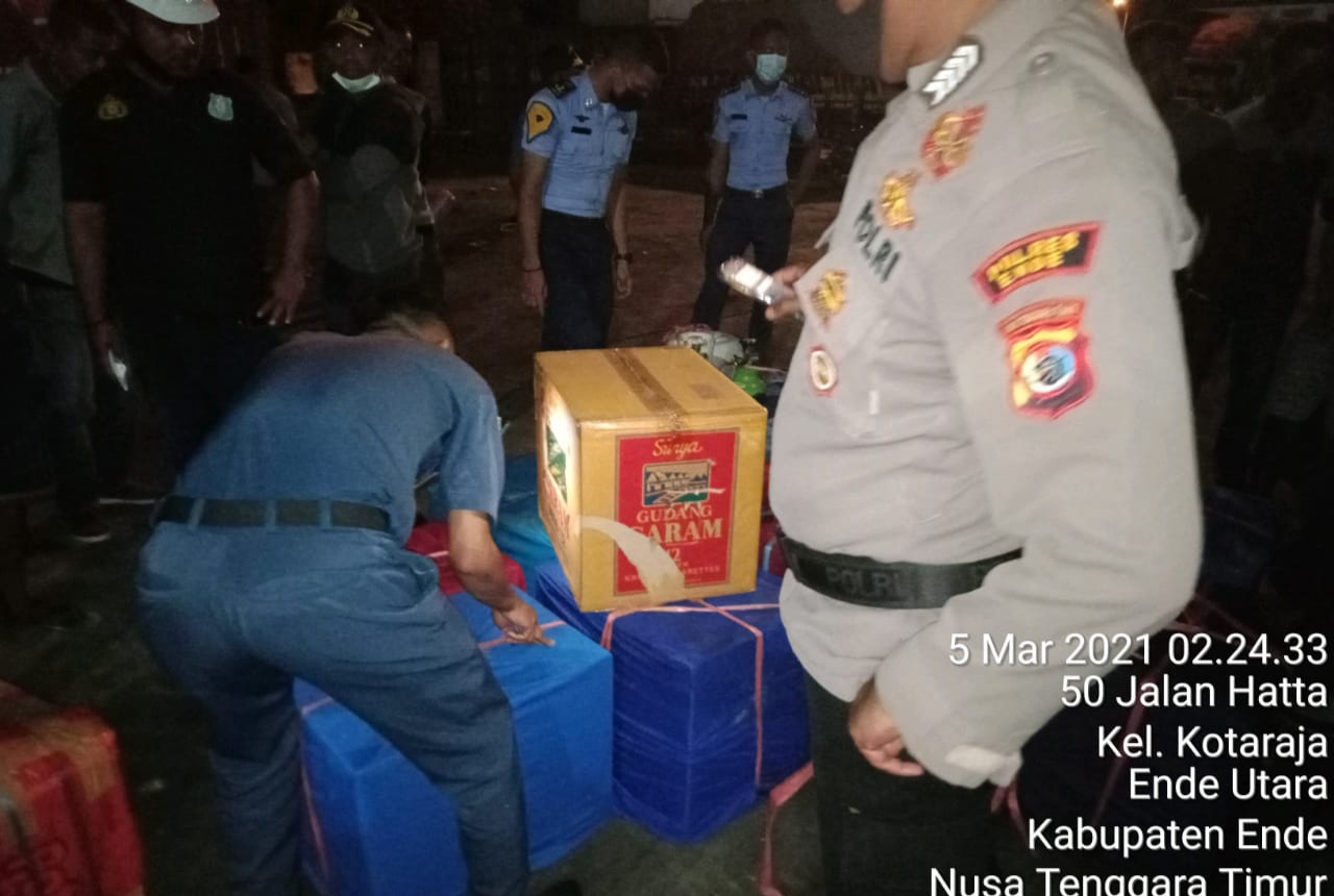Penyelundupan Hewan Tanpa Dokumen Ende