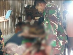 Hendak Mencari Buah Larak, Bocah di NTT Tewas Disengat Tawon