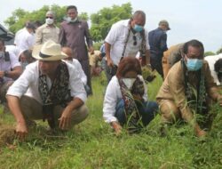 Kunker ke Sulamu, Gubernur NTT Ajak Pejabat dan Pelajar Bersihkan Rumput