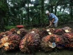 Sedih! Sejumlah Perusahan di Kaltim Tidak Membayar Gaji Tenaga Kerja Asal NTT