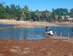 Sempat Viral, Danau yang Muncul Pasca Seroja di Kupang Mulai Kering