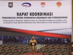 Wagub Nae Soi: Program Kerja Pemerintah Harus Berdampak Langsung Bagi Masyarakat