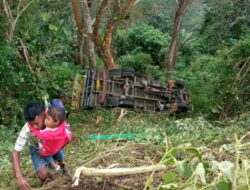Truk Kayu di Ende Jatuh ke Jurang, Tiga Orang Meninggal Dunia