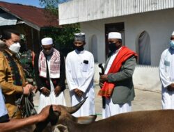 Wakil Bupati Manggarai Serahkan Hewan Kurban di Nanga Rumut