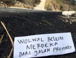 PT. Karya Baru Calisa Didesak Aspal Ulang Jalan Provinsi di Wolwal Alor