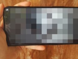 Heboh! Video Mesum Diduga Pejabat Sabu Raijua Beredar di Media Sosial