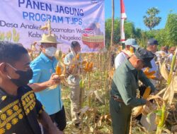 NTT Masuk 10 Besar Provinsi yang Alami Penurunan Jumlah Orang Miskin