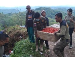 Barang Dagangan Dirampas Pol PP, Pedagang di Manggarai Surati Bupati