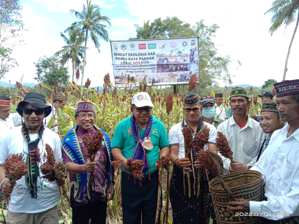 Bupati Matim Dorong Sogum Jadi Alternatif Pangan Lokal