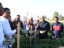 Gubernur NTT dan Anggota DPR RI Tinjau Rest Area Berbasis Agro Wisata di Sikka