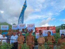 Berkat Kredit Merdeka Bank NTT, Petani di Belu Raup Untung Setengah Miliar Lebih