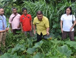 Sekda Kota Kupang Tinjau Lokasi Urban Farming di Naioni