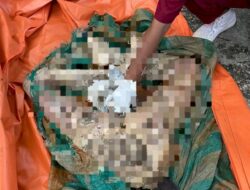 Heboh Penemuan Mayat di Pantai Oli’o Kabupaten Kupang, Diduga Seorang Ibu dan Anak