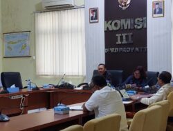 Bank NTT Tidak Akan Turun Jadi BPR, Skema KUB Tak Pengaruhi Kepemilikan Bank