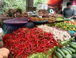 Harga Cabai, Bawang, dan Tomat di Pasar Inpres Ruteng Alami Kenaikan