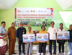 OJK NTT, TPAKD dan Kemendes PDTT Sosialisasi Program Kerja EKI di Desa Oefeto