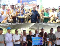 Gubernur VBL Panen Jagung, Petani Untung Belasan Juta Rupiah Langsung Masuk Rekening Bank NTT