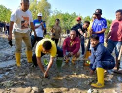 Pj Wali Kota Kupang dan Rektor Undana Tanam Bakau di Pantai Oesapa