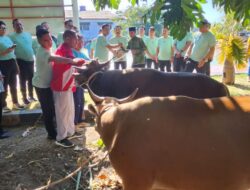 Wakil Jaksa Agung Serahkan Hewan Kurban untuk Sejumlah Mesjid di Kota Kupang