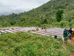 Program Budidaya Hortikultura PLN Sasar Petani Desa Wewo