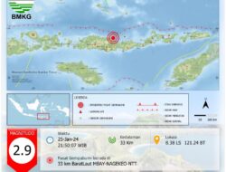 Gempa Beruntun Guncang Laut Flores, Ini Kata BMKG