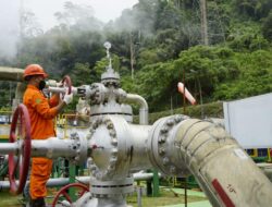 Luar Biasa, PLTP Ulumbu Mampu Serap 97 Persen Tenaga Kerja Lokal