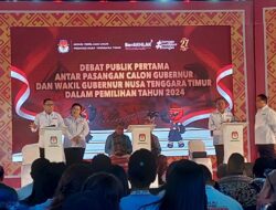 Remehkan Partai Koalisi dan Peran Pemerintah Pusat, Ansy Lema Dinilai Bikin Gaduh Masyarakat NTT