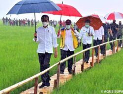 Sebut Jokowi Belum Bangun Sektor Ekonomi Primer, Ansy Lema Lupa Ada Bendungan dan Food Estate di NTT