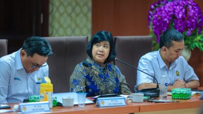 Ahli Geothermal Sebut Transisi Energi Flores Lebih Murah dan Bermanfaat