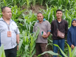 Dorong Pertumbuhan Ekonomi, Bank NTT Borong Kucurkan Kredit Merdeka