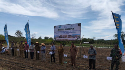 Bank NTT Jadi Sponsor Utama Tanam Perdana Hortikultura untuk Pasok MBG di Nagekeo