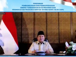 Presiden Resmikan 47 PLTS, 5.383 Rumah di Wilayah 3T Kini Teraliri Listrik Ramah Lingkungan
