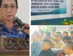 Bupati SBD dan Bank NTT Dorong Desa Digital