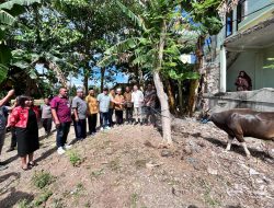 Jelang Iduladha, Wali Kota dan Wakil Wali Kota Kupang Serahkan Hewan Kurban di Sejumlah Masjid