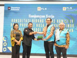 DPRD NTT Tinjau PLTP Kamojang, Optimis Geothermal Jadi Pendorong Kemajuan Daerah