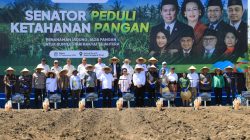 Tanam Jagung di NTT, DPD RI Kawal Asta Cita Presiden Prabowo di Bidang Pangan