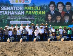 Tanam Jagung di NTT, DPD RI Kawal Asta Cita Presiden Prabowo di Bidang Pangan
