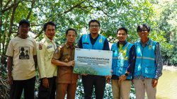 PLN UIP Nusra Salurkan 7000 Bibit Mangrove untuk Desa Padak Guar
