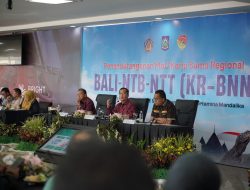 PLN UIP Nusra Siap Wujudkan Kemandirian Energi Hijau Lewat Kerja Sama Regional Bali, NTT dan NTB
