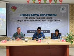 Gubernur Melki Laka Lena Tegaskan NTT Siap Jadi Pionir Hidrogen Hijau di Asia