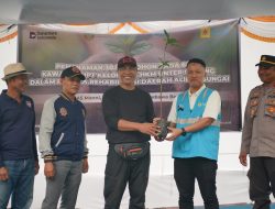 Rehabilitasi DAS Manni, PLN UIP Nusra Hijaukan HPT Sumbawa