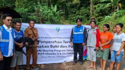 Program Ternak PLN di Desa Wewo Buktikan Dampak Nyata bagi Ekonomi Warga