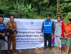 Program Ternak PLN di Desa Wewo Buktikan Dampak Nyata bagi Ekonomi Warga